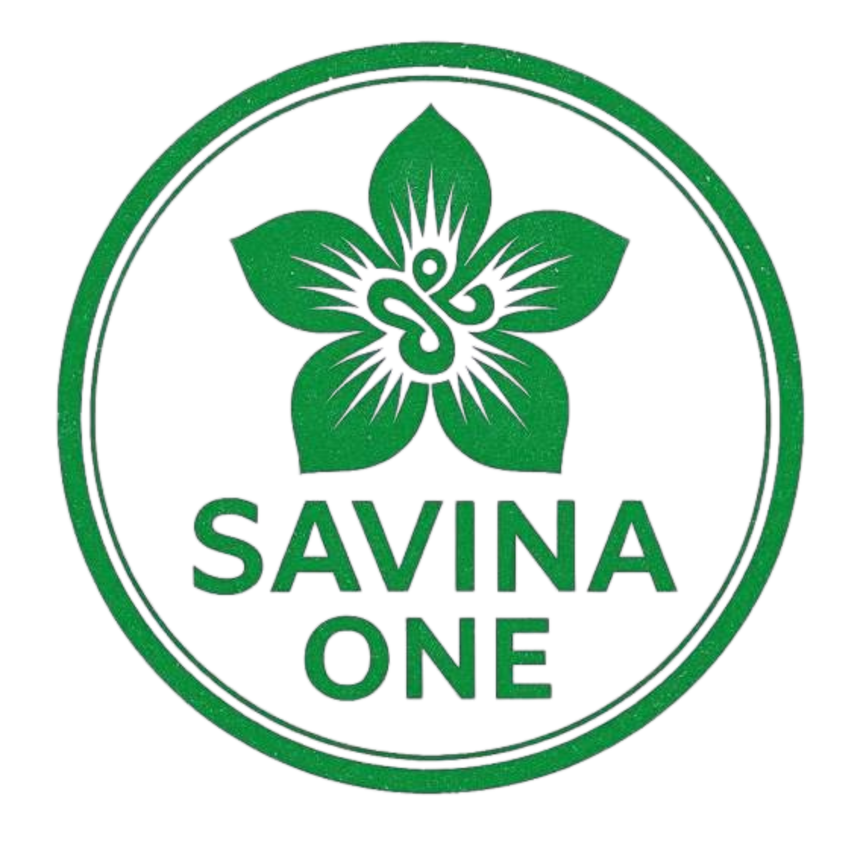 SAVINA ONE - PACS MedCalc