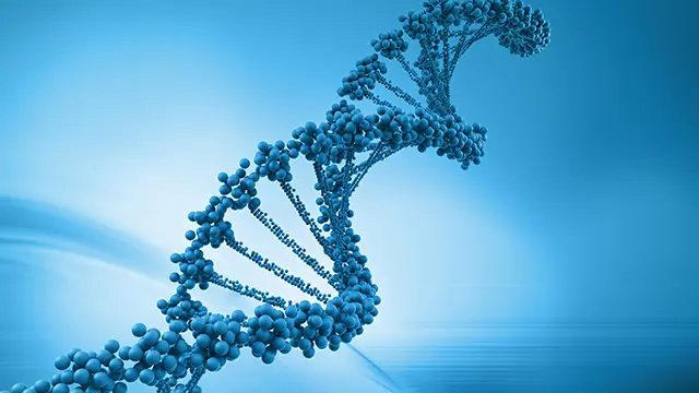 Adaptable Integrated BOM