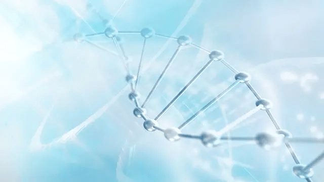 Adaptable PLM Foundation