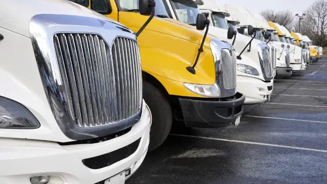 Flexible Product Line Engineering