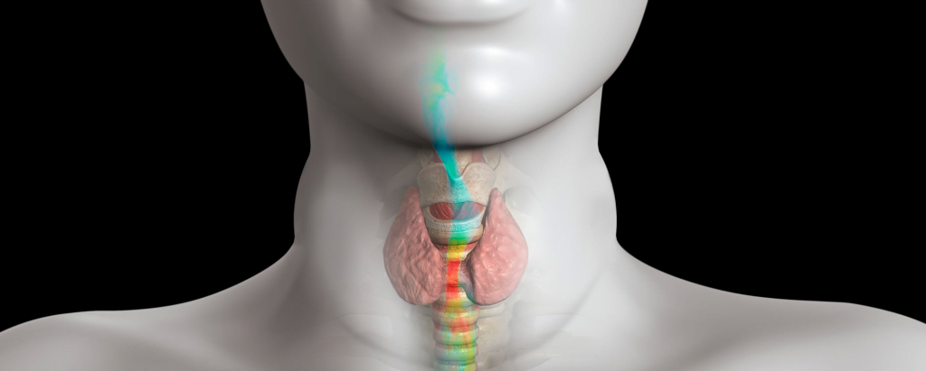 Simulation for medical devices 5 simulation for medical devices