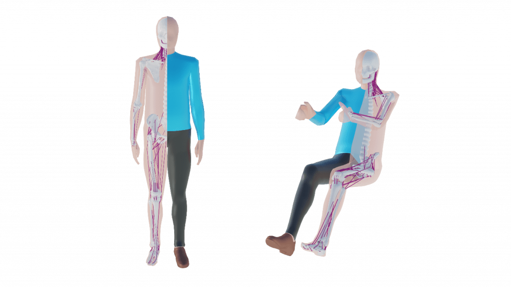 Automotive Test Innovation within Simcenter Madymo 4 Figure 4: The Active Human Model can maintain its posture during a crash event, more accurately reflecting the behavior of real people.