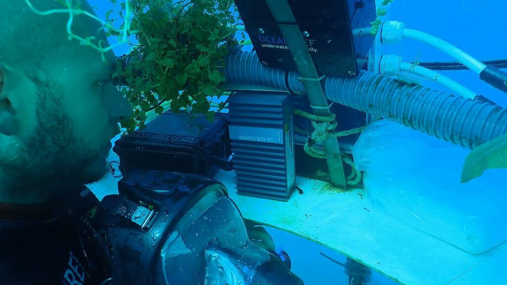 Siemens Nemos Garden Xcelerator 03.6256d46c2366a