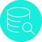 dataset