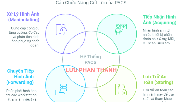 PACS vs DICOM: Hướng Dẫn Toàn Diện Về Hệ Thống Chẩn Đoán Hình Ảnh Y Tế Trong Công Nghệ Thông Tin Y Tế 1 PACS vs DICOM: Hướng Dẫn Toàn Diện Về Hệ Thống Chẩn Đoán Hình Ảnh Y Tế Trong Công Nghệ Thông Tin Y Tế
