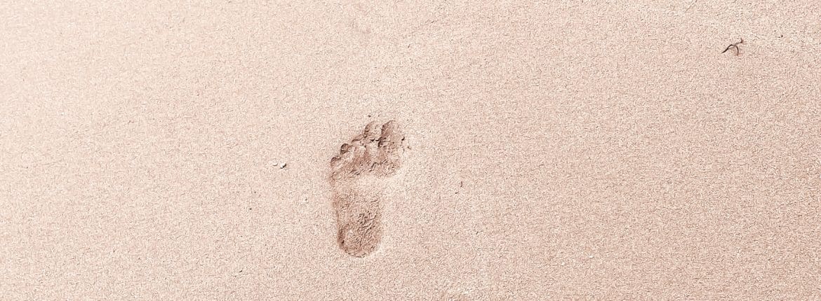 Zero-Footprint PACS: Chìa khóa cho việc truy cập hình ảnh y khoa nhanh hơn và an toàn hơn 1 Zero-Footprint PACS: Chìa khóa cho việc truy cập hình ảnh y khoa nhanh hơn và an toàn hơn