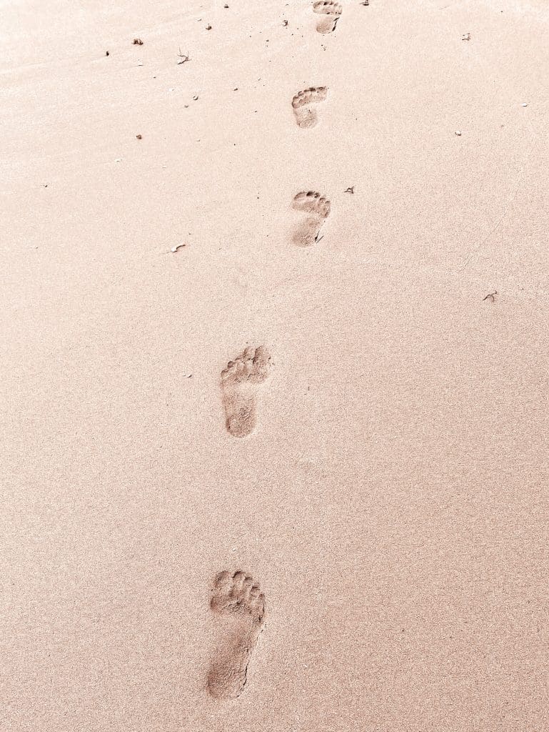 Zero-Footprint PACS: Chìa khóa cho việc truy cập hình ảnh y khoa nhanh hơn và an toàn hơn 2 Zero-Footprint PACS: Chìa khóa cho việc truy cập hình ảnh y khoa nhanh hơn và an toàn hơn
