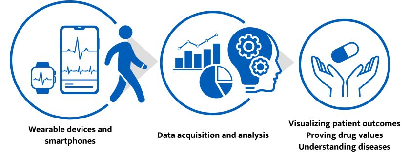 Digital Biomarkers & Thiết Bị Đeo Thông Minh: Giải Pháp Đột Phá Cho Chăm Sóc Sức Khỏe Người Cao Tuổi 1 1744844098822