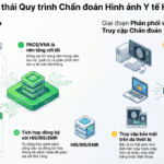 Hệ Sinh Thái Chẩn Đoán Hình Ảnh Y Tế: Giải Pháp Tối Ưu Quy Trình Bệnh Viện Hiện Đại