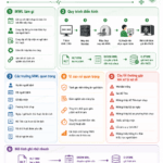 DICOM Modality Worklist là gì? Vai trò và lỗi thường gặp trong chẩn đoán hình ảnh