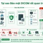 Tại sao bảo mật DICOM rất quan trọng trong chẩn đoán hình ảnh y tế?