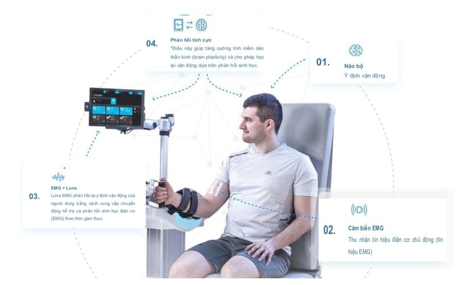 Tái Thiết Lập Chức Năng Bàn Tay Với 7 Kiểu Cầm Nắm Sinh Hoạt Cùng Robot Meissa OT