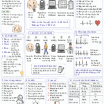 Holter điện tâm đồ: Nhu cầu tại Việt Nam đang đến từ đâu?