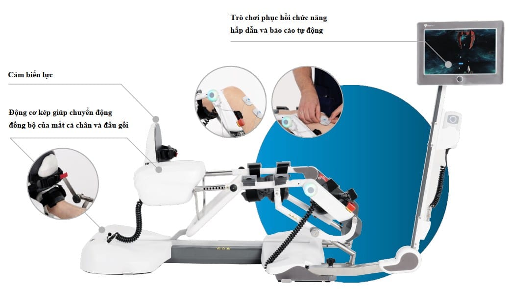 Ứng Dụng Neuroplasticity Trong Phục Hồi Chức Năng Bằng Robot 13 Ứng Dụng Neuroplasticity Trong Phục Hồi Chức Năng Bằng Robot